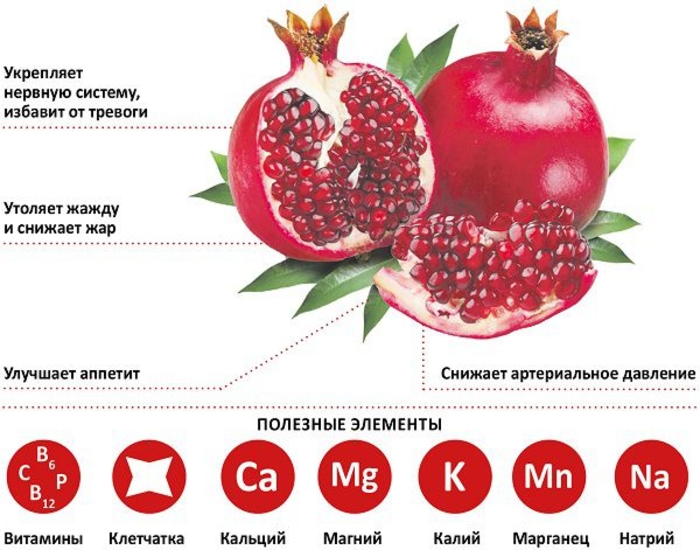 Польза граната