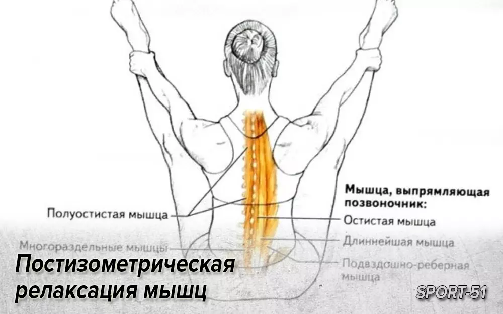 Упражнение для укрепления мышц