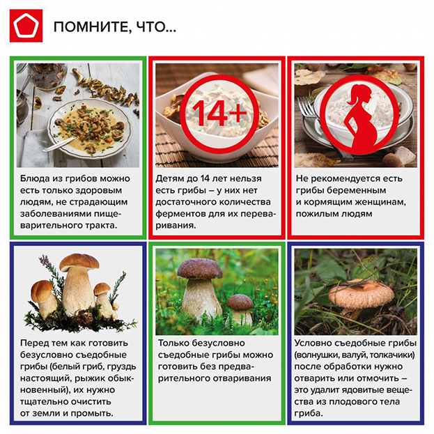 Можно ли беременным грибы