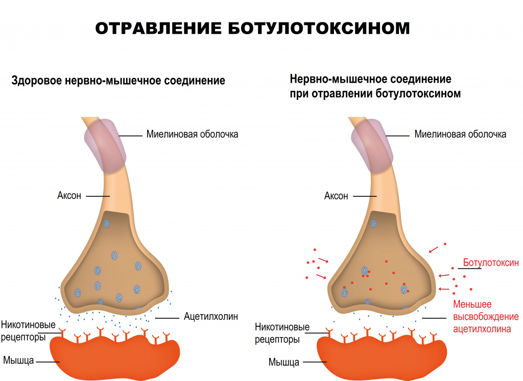 Гастроэнтерологический