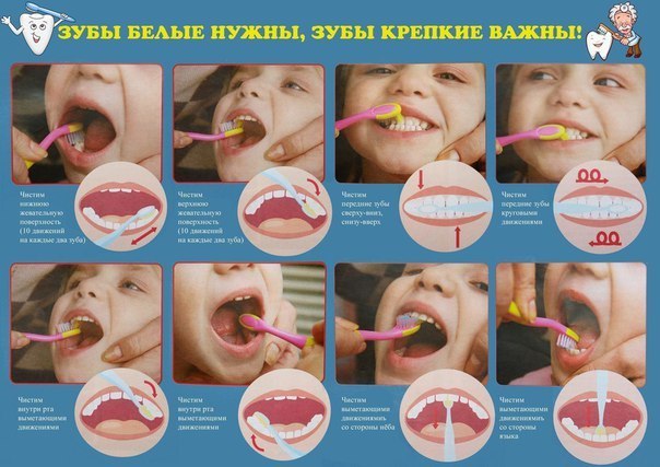 Почему важно чистить зубы