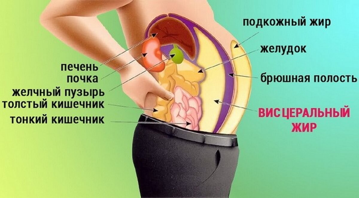 Одной из основных причин развития метаболического синдрома является ожирение. Избыточное скопление жира в организме приводит к нарушению обмена веществ, что способствует развитию метаболического синдрома. Особенно важно предотвращать развитие ожирения у детей и подростков, поскольку именно в этом возрасте формируются основы здорового образа жизни и привычки, которые в дальнейшем могут сказаться на развитии метаболического синдрома.