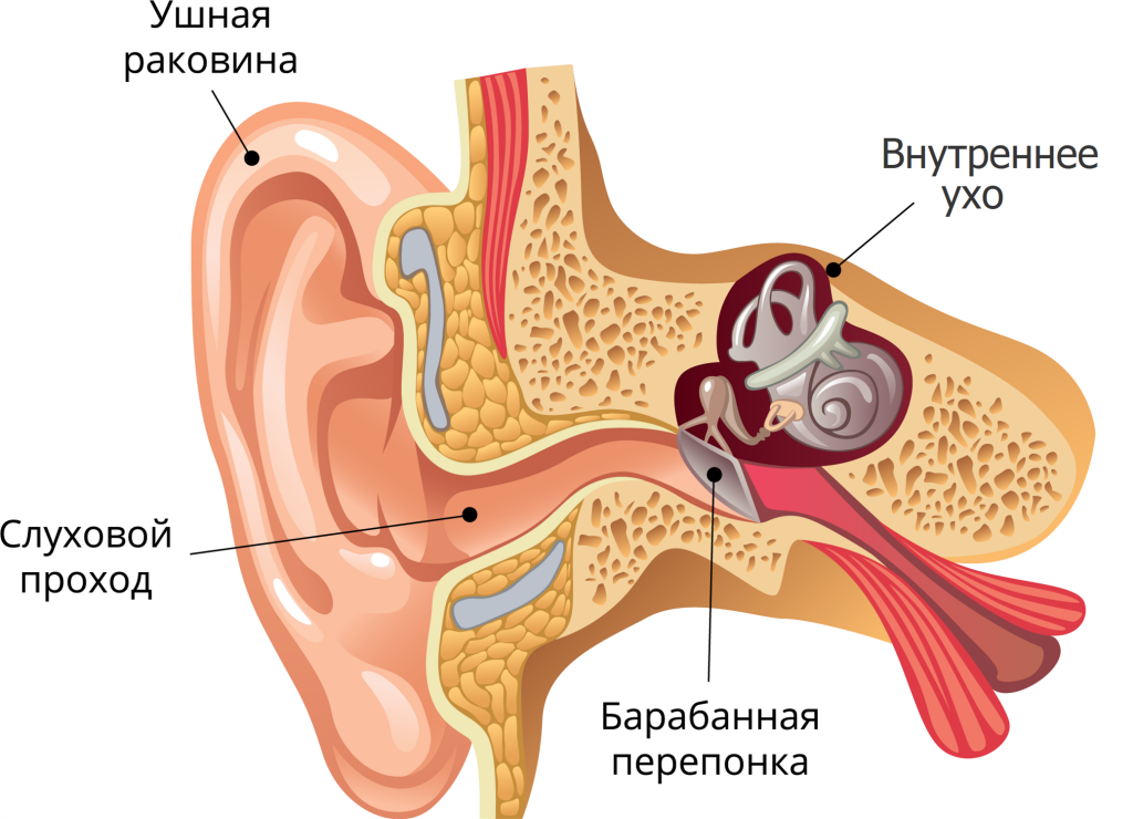 Как быть если заложило уши после купания