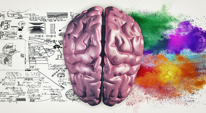 Особенности и влияние на мозг