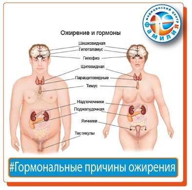 Гормональные нарушения у женщин – это расстройство работы женских гормонов, которое может привести к серьезным последствиям для здоровья. Гормоны выполняют множество функций в организме: регулируют половое развитие, менструальный цикл, настроение, рост волос, работу щитовидной железы и многое другое.