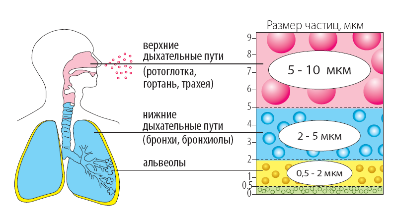 Как выбрать ингалятор