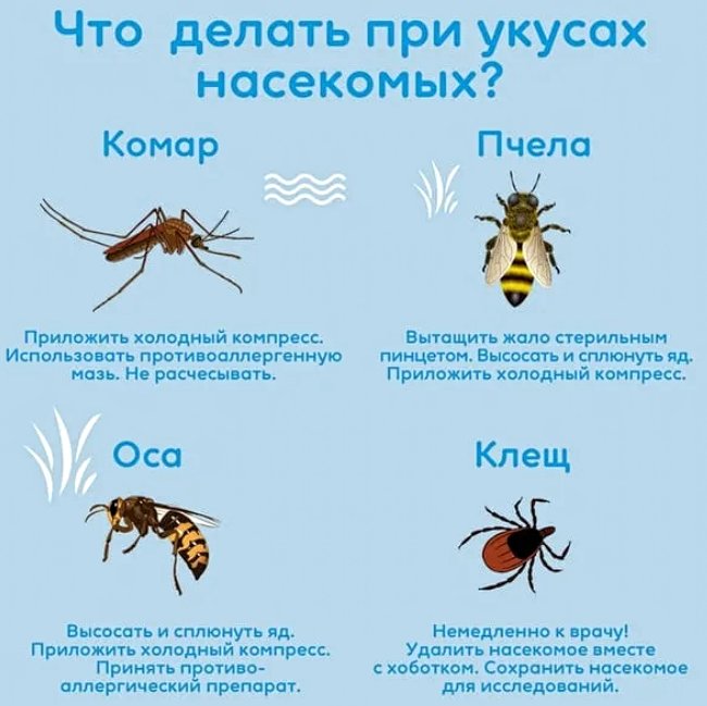 Укусы насекомых у детей
