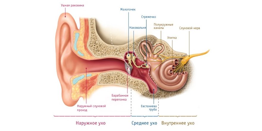 Боль в ухе может быть признаком различных заболеваний, включая отит - воспаление уха. Если вы страдаете от болью в ухе, важно использовать правильные методы облегчения боли и обратиться к врачу, если симптомы не проходят.