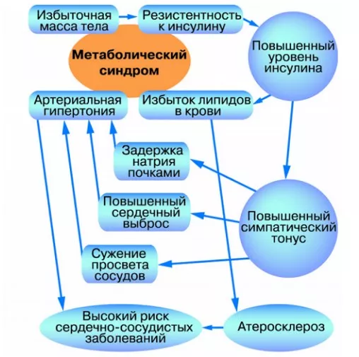 Метаболический синдром является серьезной проблемой общественного здравоохранения, поскольку его распространенность среди населения стремительно увеличивается. По данным исследований, уровень метаболического синдрома среди взрослых женщин составляет около 40%, а среди мужчин - около 35%. Таким образом, метаболический синдром является одним из самых распространенных заболеваний современности.