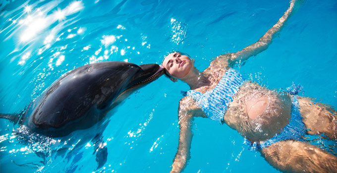 Дельфинотерапия купание с дельфинами