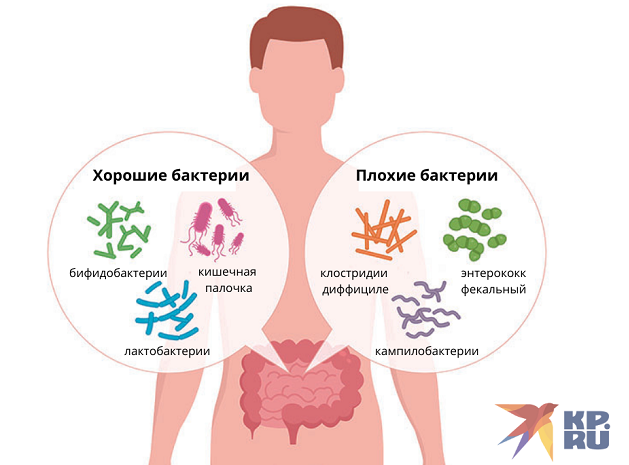 Дисбактериоз кишечника - это нарушение нормального баланса микроорганизмов в кишечнике. Человеческий организм является домом для множества разных микроорганизмов, которые могут быть полезными или вредными. Когда баланс между этими микроорганизмами нарушается, может возникнуть дисбактериоз.
