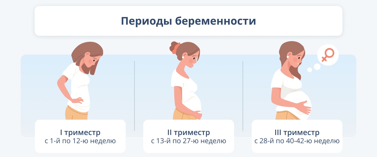 Период с 21 по 24 неделю беременности шестой акушерский месяц