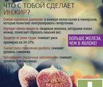 Полезные свойства инжира