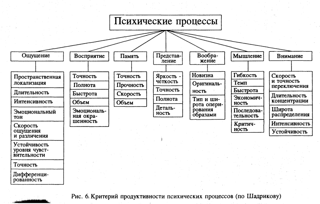 Познавательные процессы схема