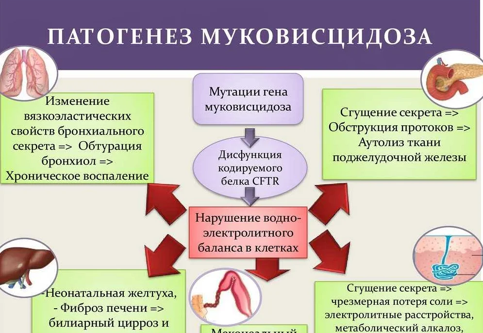 Фиброз почек