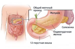 Первая помощь