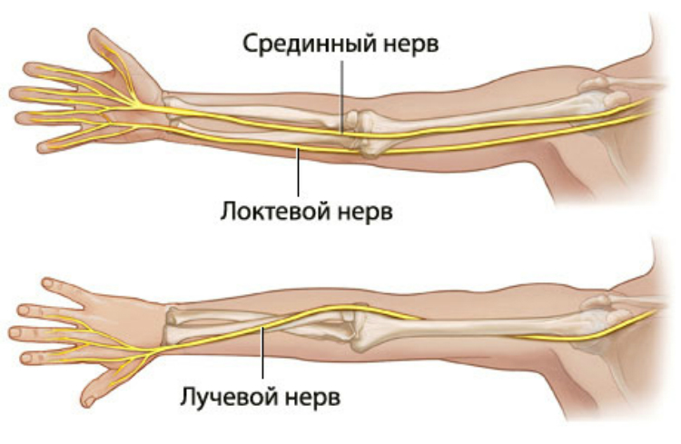 Причины возникновения