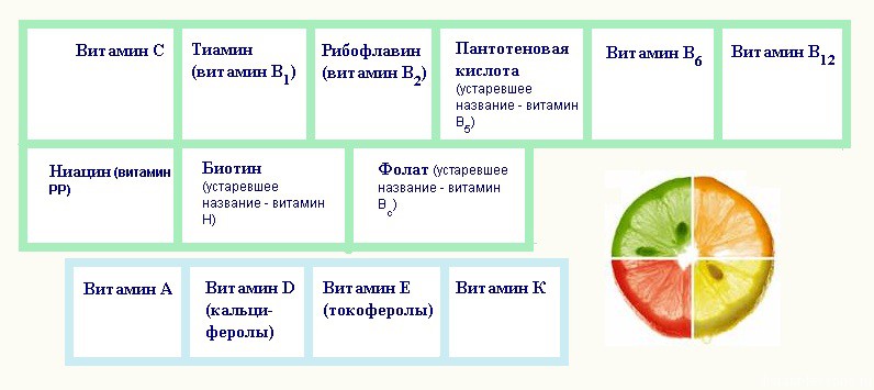 Организм нуждается в таких витаминах